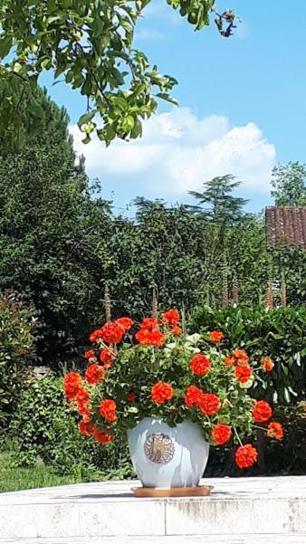 Altillac Le Mazet D'Olt B&B 외부 사진